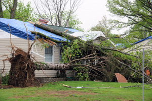 Disaster restoration for water, wind, hail & storm damage